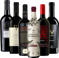Primitivo Bestseller Hidden Champions 6x Probierpaket von VINELLO