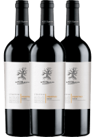 3er Vorteils-Weinpaket - I Tratturi Primitivo 2020 - Cantine San Marzano