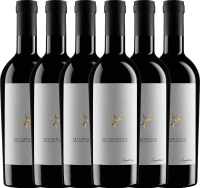 6er Vorteils-Weinpaket - Settebraccia Rosso 2019 - Cantina Sampietrana